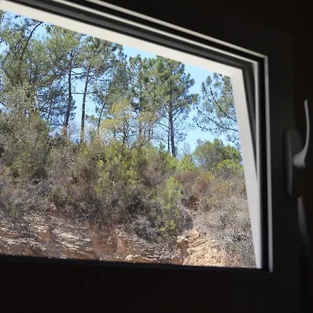 Paragem Dos Pacatos - * Одесейше