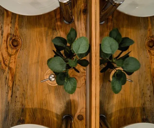 Paragem Dos Pacatos -